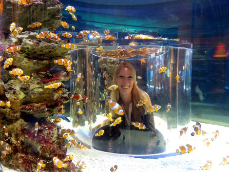 Nemo giving me a kiss.