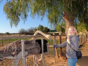 The perfect blend of terror and excitement