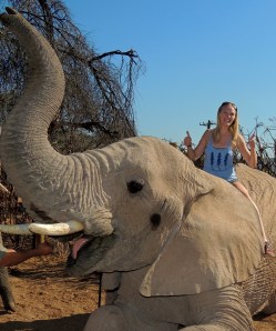 Thumbs up, trunks up with Bulelo