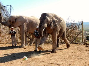 Malaika kicking the soccer ball around