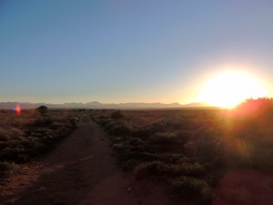 Sunrise outside Oudtshoorn (it put The Circle of Life in my head all day)