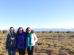 Time for second breakfast!