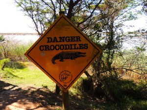 Seems like a dangerous place to fish when you know how quickly they can jump out of the water...