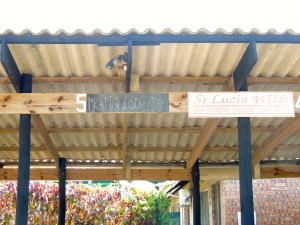 Mr. Mcleod, I presume.