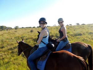 Horses in the savannah