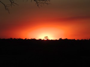 Sunset over the estuary