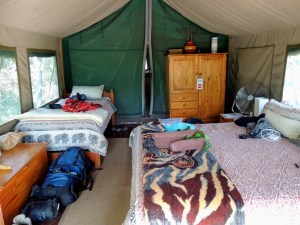 Real beds. In a tent. They had electric blankets under the bottom sheet. Amazing to cocoon in.