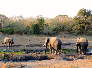 Having a drink with some bros