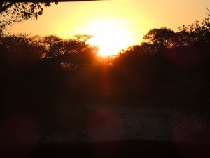 Nants ingonyama bagithi Baba!!!!!!!