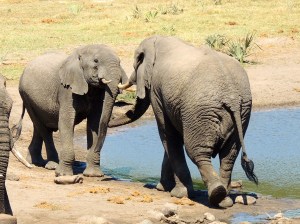 Eeeee! It's like he's smiling!!!!