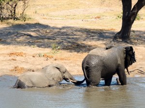 I don't want to get out yet...