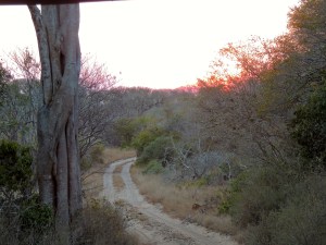 Heading back to camp