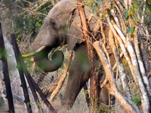 Step by step, ooo baby (NKOTB throwback for Kwaze)