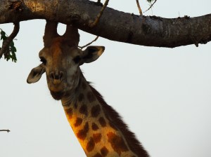 Just trying to enjoy breakfast