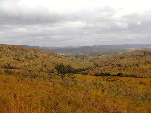 Hluhluwe landscape