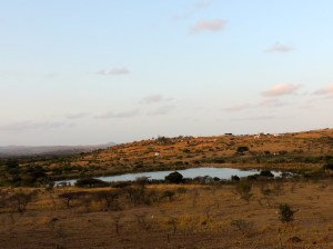 Village on the drive
