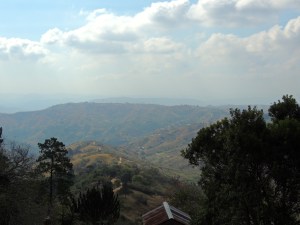 View from the brewery