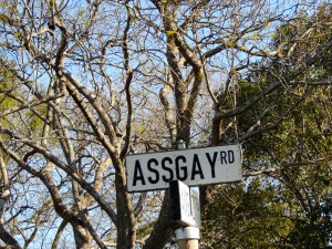 At least the errors are entertaining