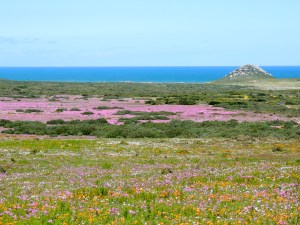 West Coast National Park