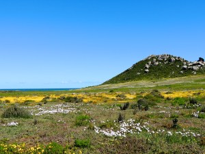 Looking out to the Atlantic