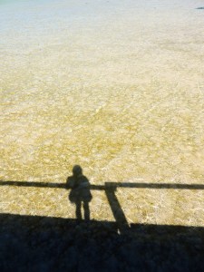 Clear waters of Langebaan