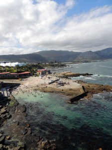 Hermanus Whale Festival