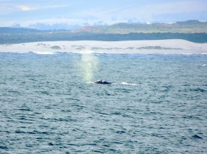 Just grabbing some air