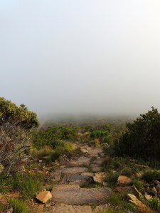 Where did we come from?