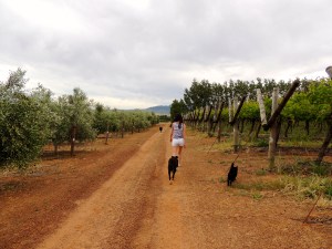 Then I turned Caroline into an animal person