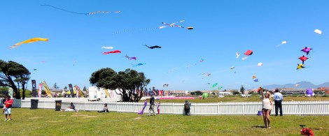 Flying Wind Spirit with all the international kites!
