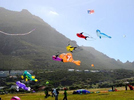 Some of the pro kites
