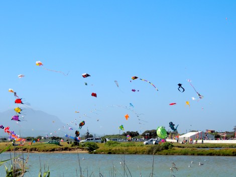 Kites!