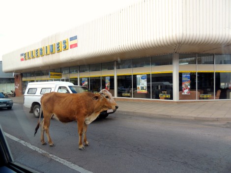 To cause a car accident in Botswana. 