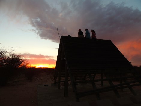 Sunset in the Kalahari