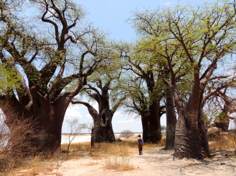 You can barely see Emily!