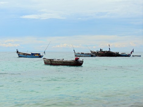 Fishing boats