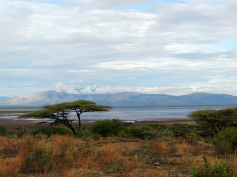 Lake Manyara