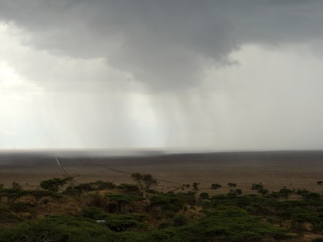 Rain over the Serengeti
