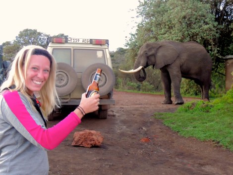 Drinking with elephants