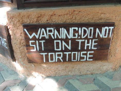 It is a sanctuary, after all