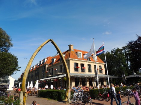 Downtown with the 30m blue whale bone arch