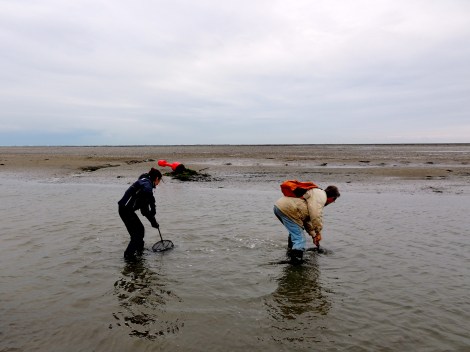 Cécile trying to catch some shrimp