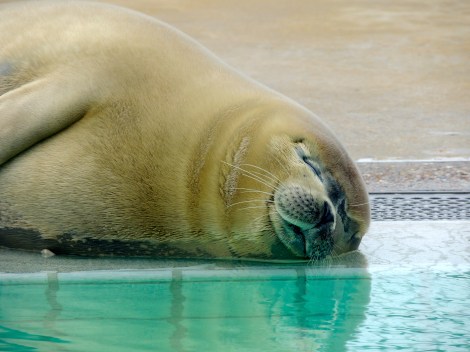 LOOK HOW CUTE HE IS!