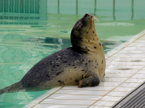 Just catching some rays